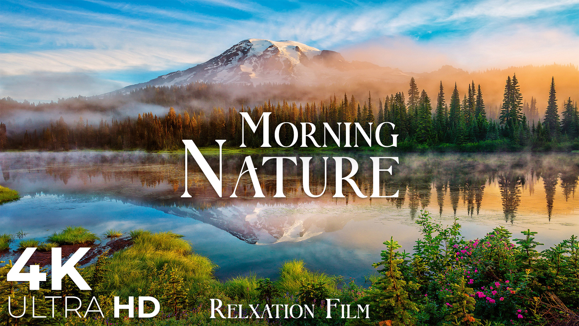 video-section-banner-image