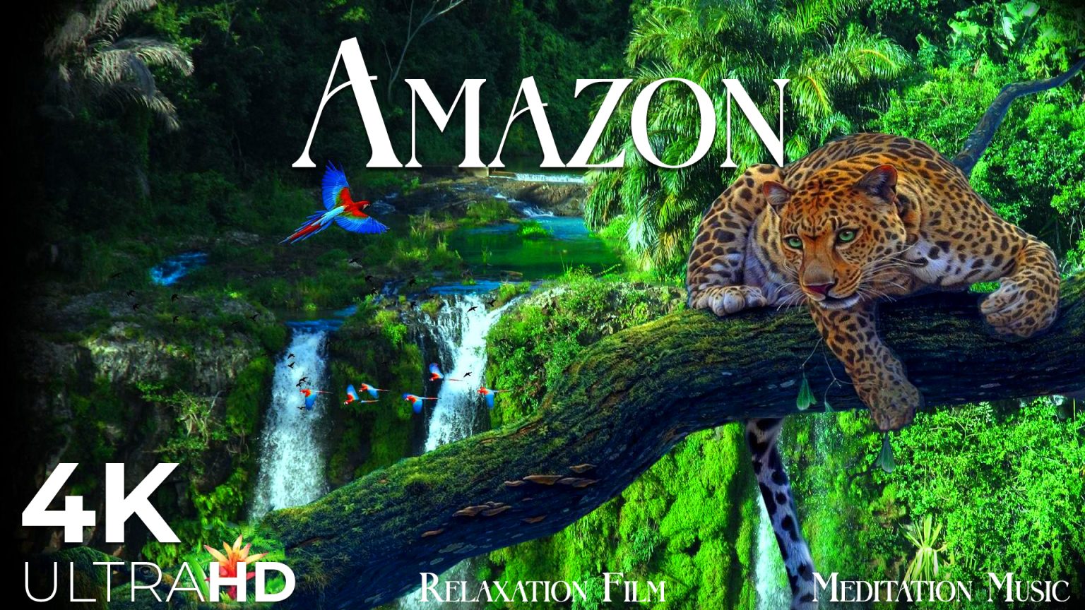 Relaxation Film