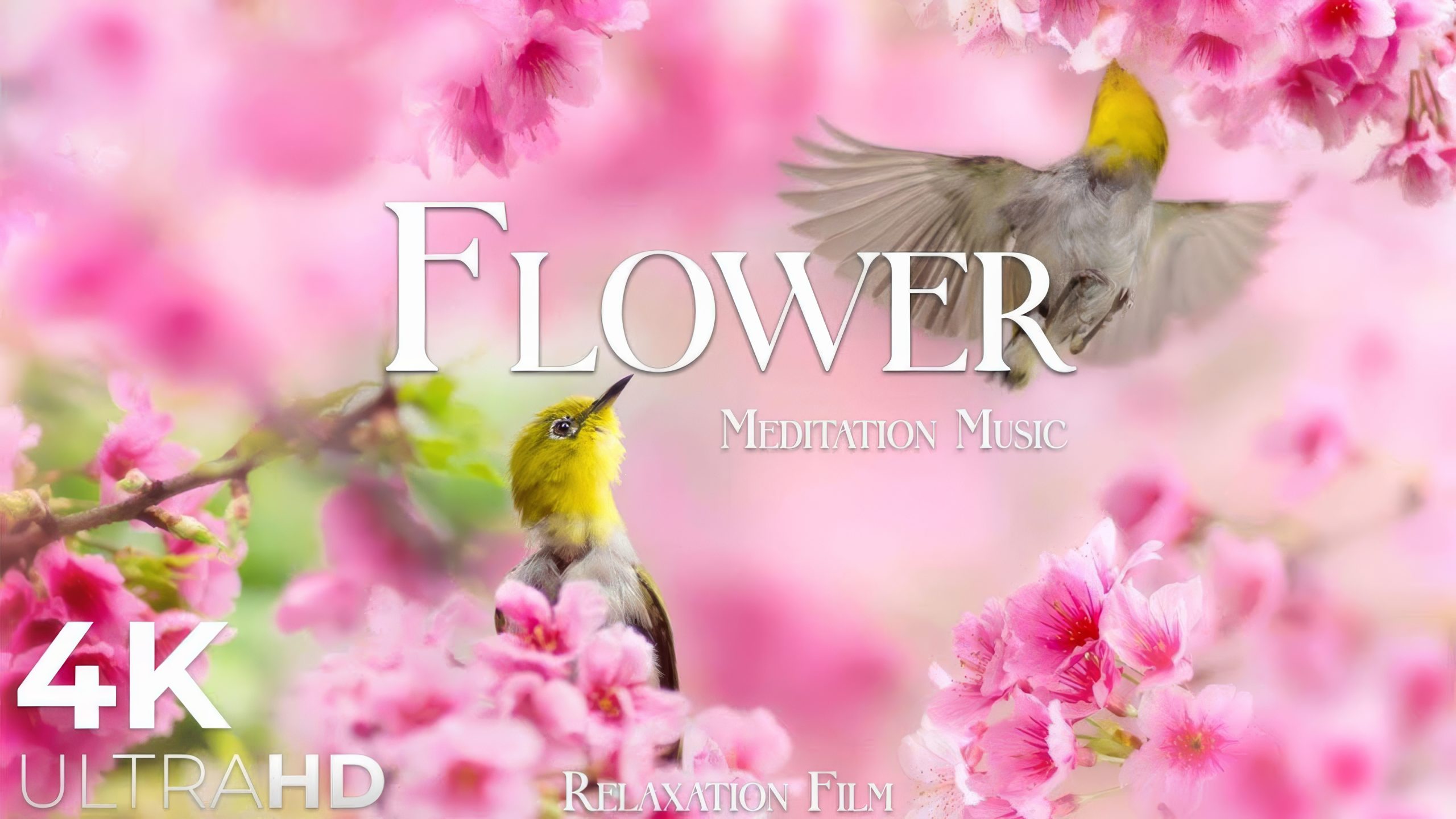 video-section-banner-image