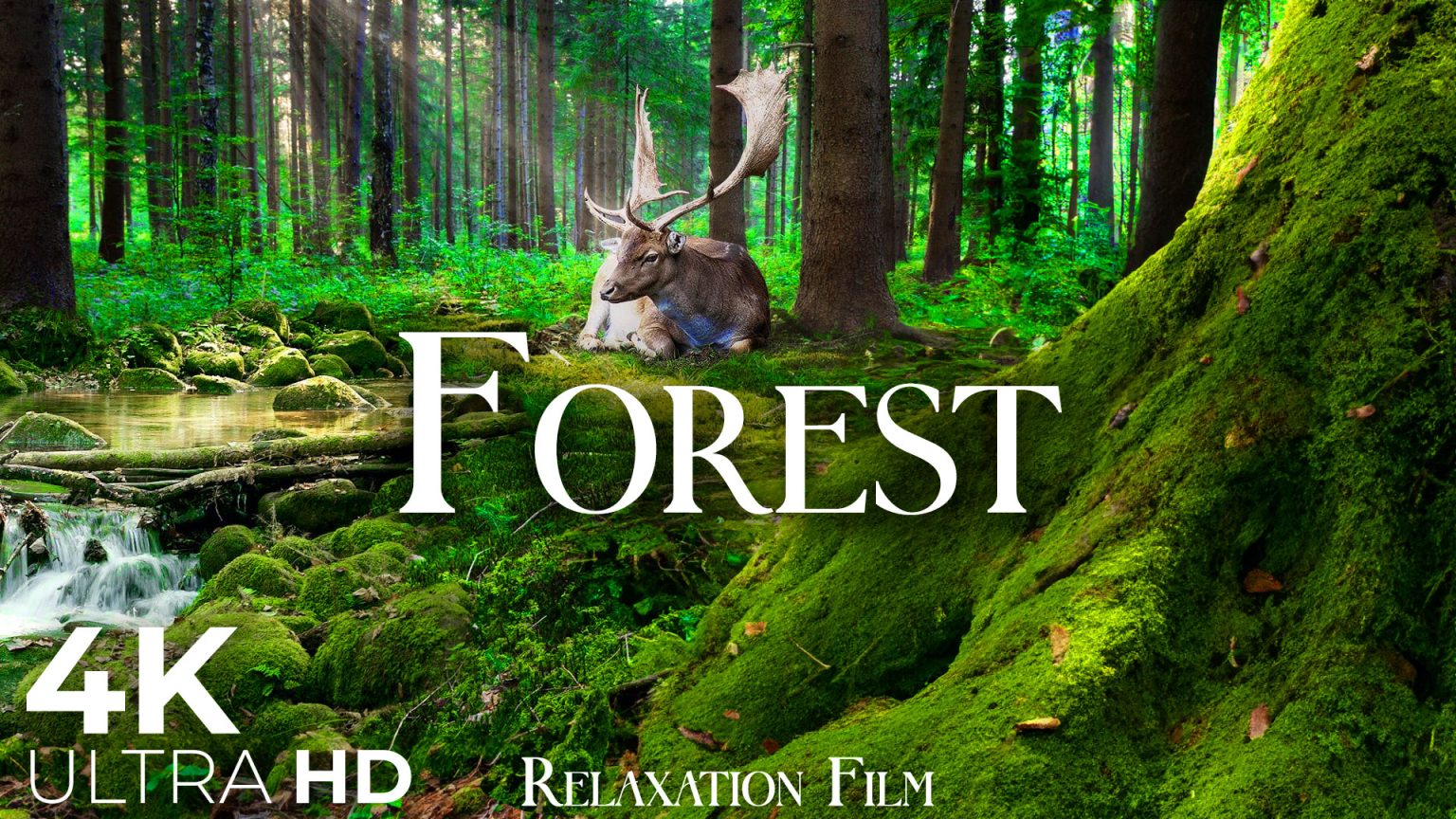 Relaxation Film