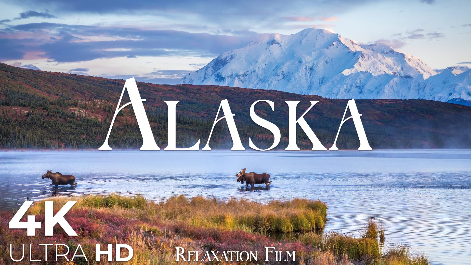 video-section-banner-image