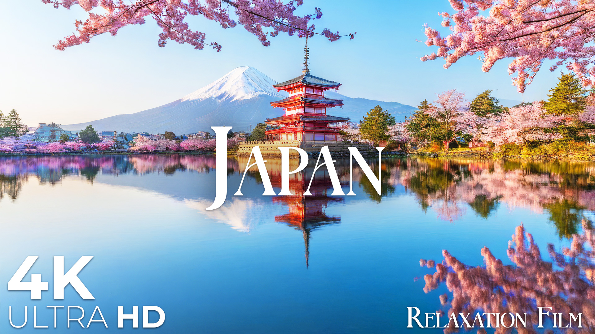 video-section-banner-image