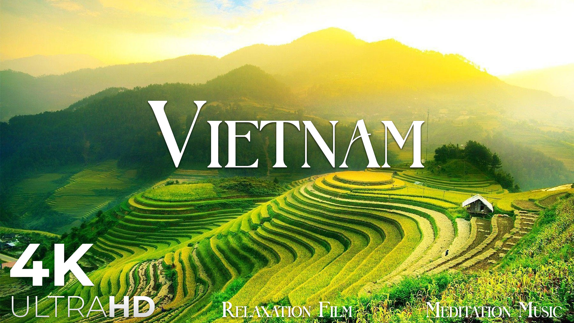video-section-banner-image