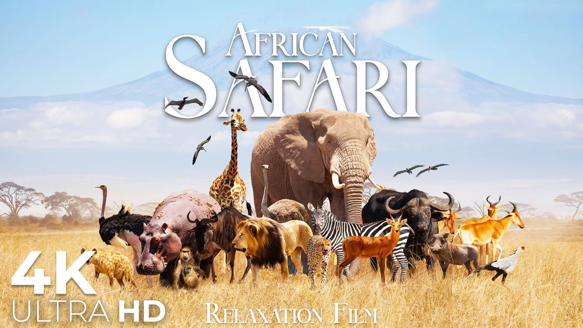 video-section-banner-image
