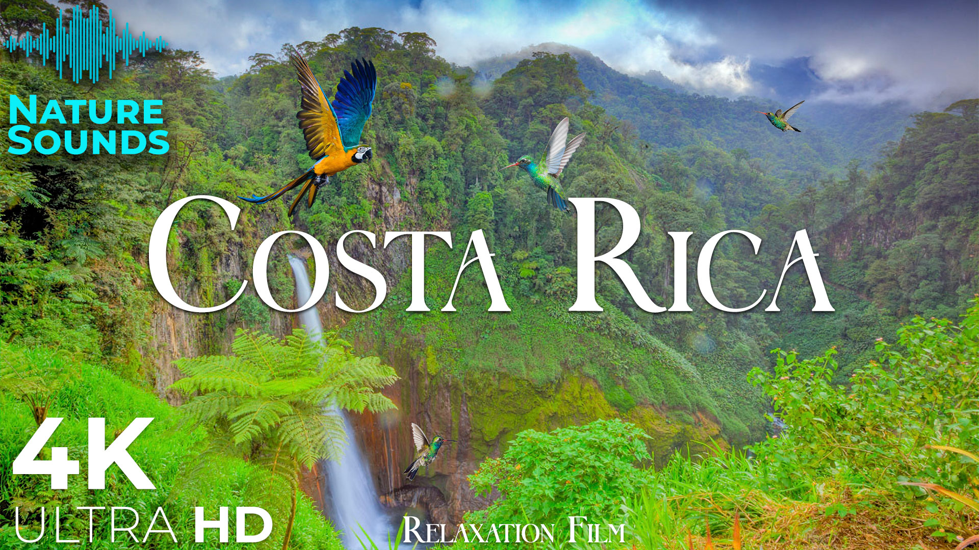 video-section-banner-image