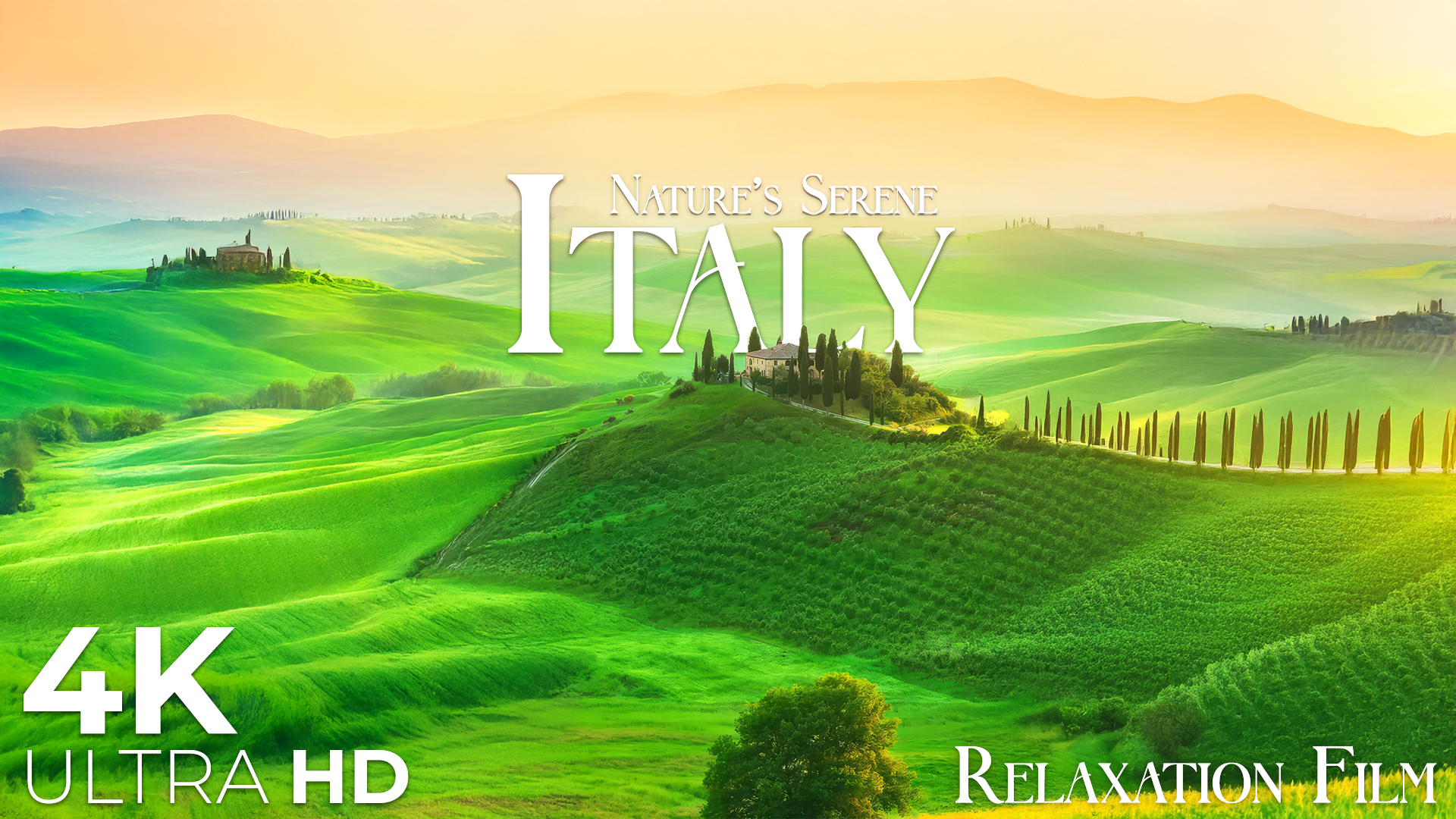 video-section-banner-image