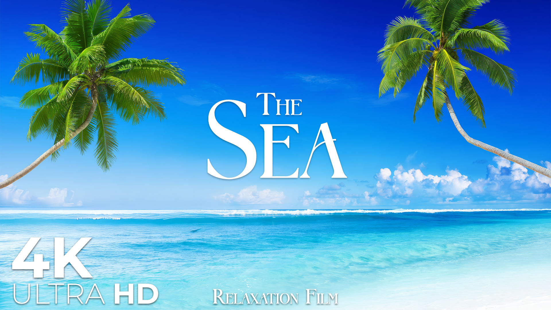 video-section-banner-image