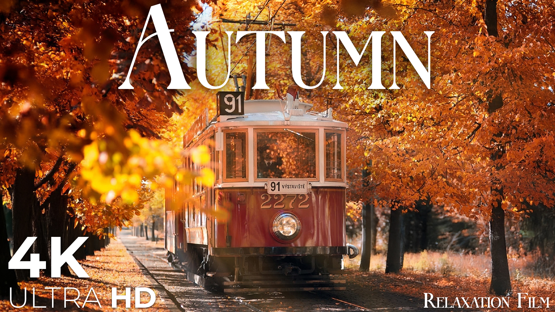 video-section-banner-image