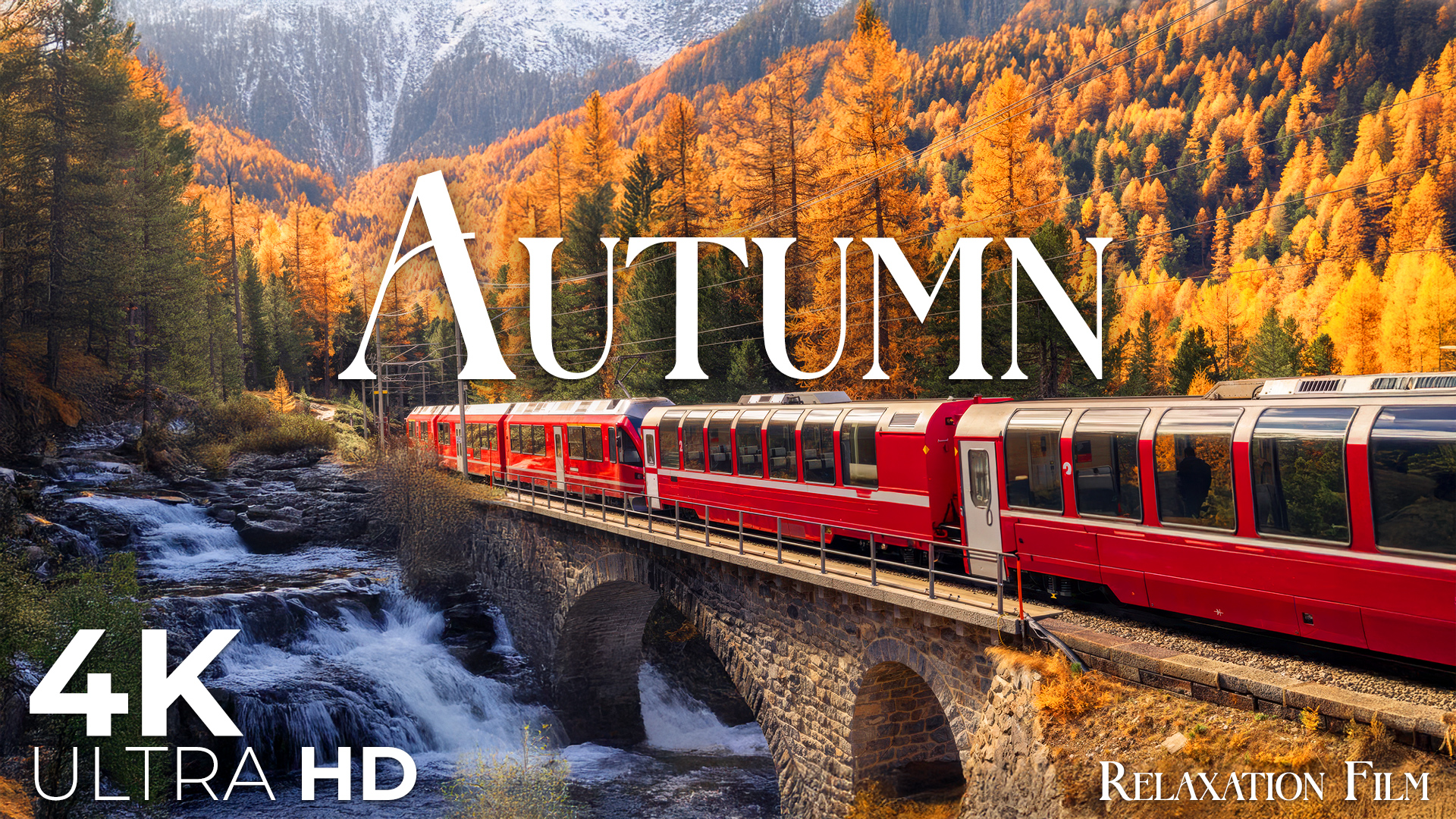 video-section-banner-image