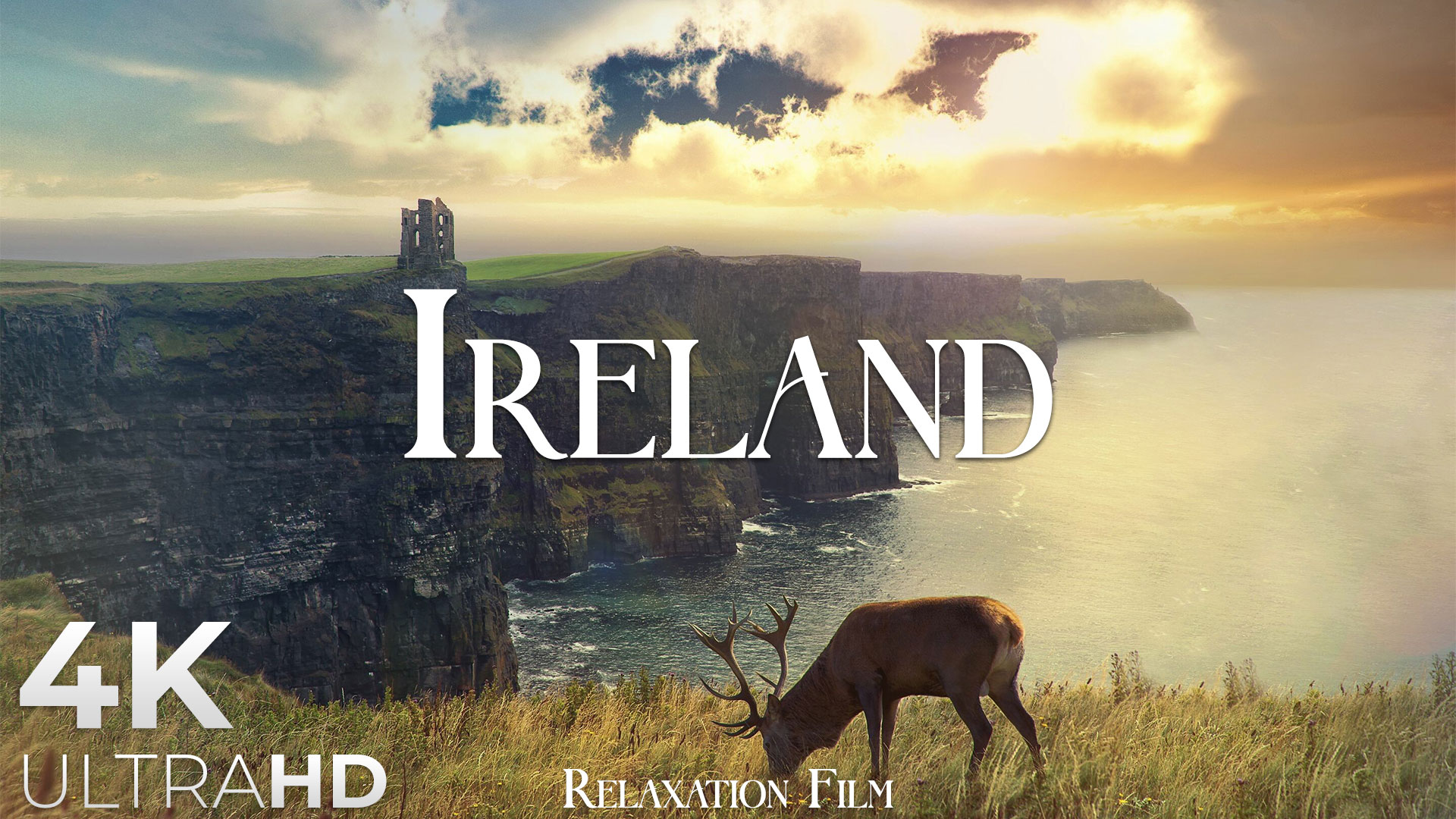 video-section-banner-image
