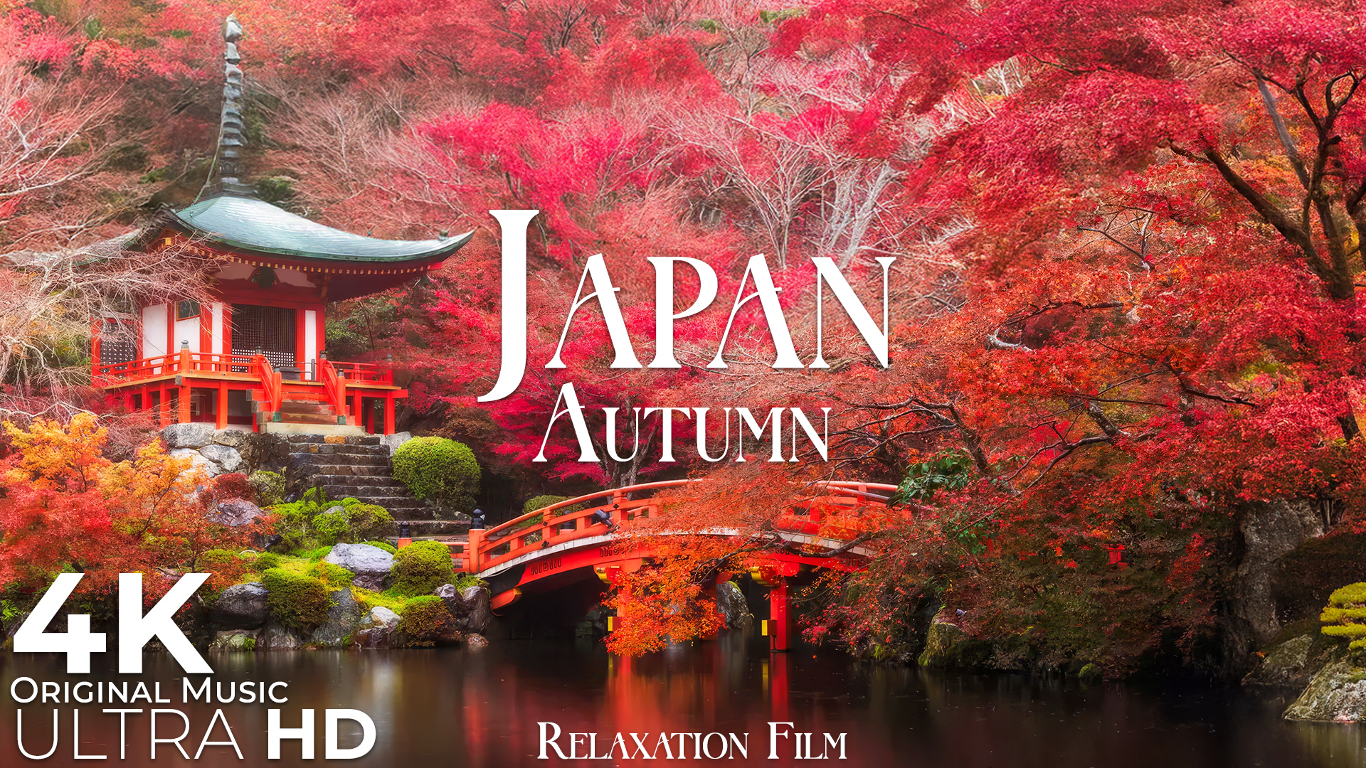 video-section-banner-image