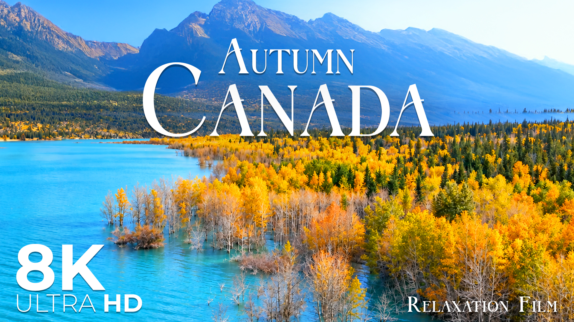 Horizon View in Canada 8K • Golden Autumn and Peaceful Relaxing Music
