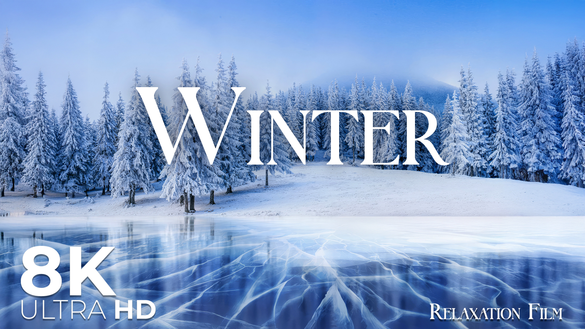 Winter Wonderland 8K • Lost in a Snowy Dream